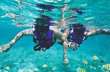 Scape Park Punta Cana Juanillo Beach VIP Beach Club and Hoyo Azul