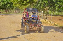 Small Group ATV and Buggy Tour 