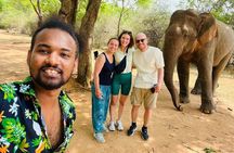 Discover the Wild Magic of Udawalawe National Park