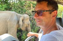 Discover the Wild Magic of Udawalawe National Park