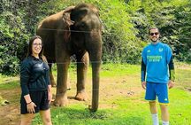 Discover the Wild Magic of Udawalawe National Park