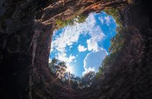 Kefalonia Nature & Beach Tour – Turtles, Caves & Hidden Gems