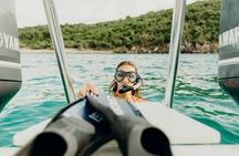 Private Half Day Eco Tour and Snorkeling Charter in the USVI