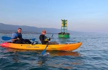 Santa Barbara Harbor Kayak Tour