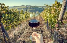 Horseback Riding and Wine Tasting Tour
