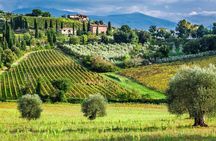 Horseback Riding and Wine Tasting Tour