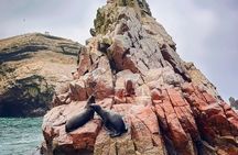 From Lima Huacachina Rainbow Mountain Machu Picchu 7 Days
