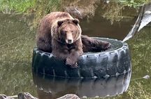 Sitka Scenic Private Tour