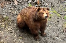 Sitka Scenic Private Tour