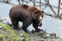 Sitka Scenic Private Tour