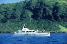 3 Ziplines & Dolphin Watching Snorkel Adventure