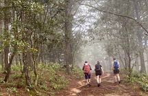 Dalat Pinhatt Peak Jungle Trek and Tuyen Lam Lake