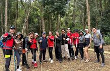 Dalat Pinhatt Peak Jungle Trek and Tuyen Lam Lake