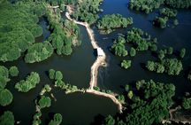 Monkey Island and Mangrove Forest Eco Tour from Ho Chi Minh