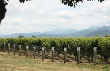 Picton & Blenheim Scenic Tour