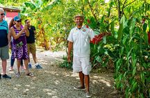 Higuey City Guided Tour from Punta Cana