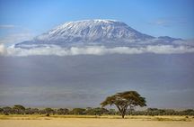3 Days 2 Nights Joining Tour to Amboseli National Park