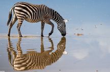 3 Days 2 Nights Joining Tour to Amboseli National Park