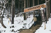 Nagano’s Snow Monkeys and Sake Tasting Day Tour