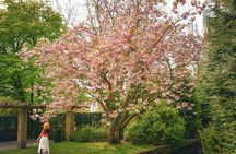 Keukenhof Luxury Private tour w. Canal Cruise & Tulip Experience