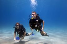 Lets Go Diving with pickup from hotel 