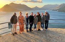 Half Day Penguins and Cape of Good Hope Group Tour