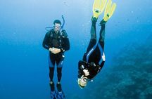 Diving Adventure at Ras Mohamed & White Island - Sharm El Sheikh