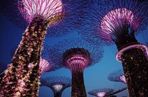 Singapore Private Tour with a Driver