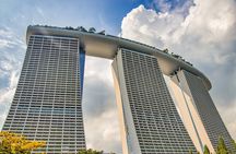 Singapore Private Tour with a Driver
