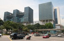Singapore Private Tour with a Driver