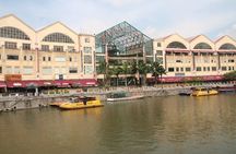 Singapore Private Tour with a Driver