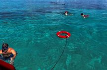 Catamaran Reef Snorkel & Turtle Adventure