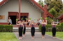 Te Puia Geothermal, Kiwi and Māori Art (Glow worms opt. extra)