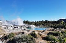 Whakarewarewa Māori Village & Geothermal (Glow worms opt. extra)