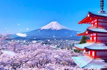 From Tokyo: Mount Fuji Sightseeing Full Day Trip