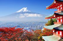 From Tokyo: Mount Fuji Sightseeing One Day Trip