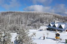 Lake Mountain Snow Private Tour from Melbourne