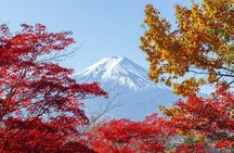 From Tokyo: Mount Fuji Sightseeing One Day Trip