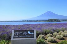 From Tokyo: Mount Fuji Sightseeing Full Day Trip