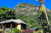 Gros Piton Adventure with Tour For The Day 