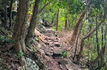 Gros Piton Adventure with Tour For The Day 