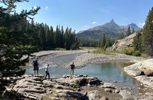 Beartooth Highway Small Group Tour with Wildlife Guide