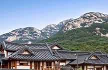 Seoul Cherry Blossom and Hanok Experience Private Car Tour 