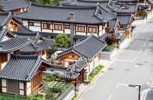 Seoul Cherry Blossom and Hanok Experience Private Car Tour 