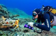Fun Diving at Amorgos Diving Center