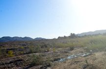 Desert Adventure & Hurghada Oasis A Jeep Safari to Hidden Wonders