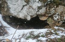 Hiking Bear Watching Tour in High Tatras from Podbanske Slovakia