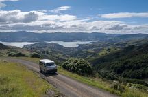 Akaroa Nature and History Tour - The 7th Generation