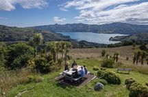Akaroa Nature and History Tour - The 7th Generation