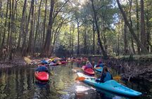 Guided Congaree National Park Kayak Tour
